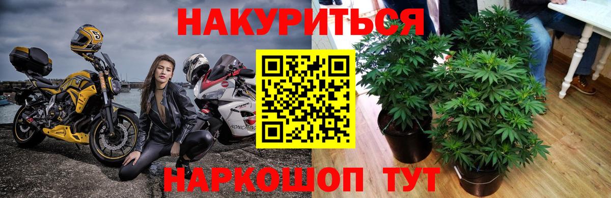 МАРИХУАНА Bruce Banner  МАРИХУАНА сатива  Топки  Вход с VPN  Каннабис Ganja 